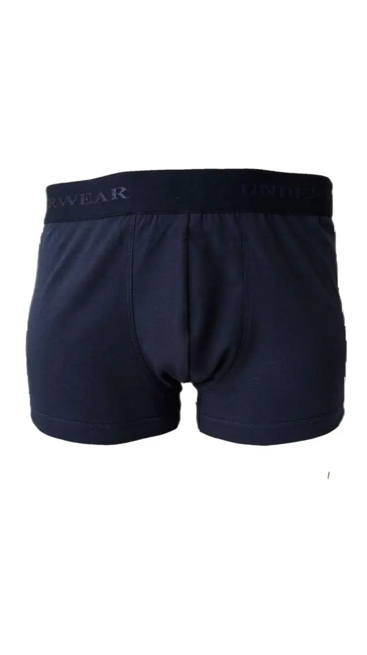 Труси-шорти чоловічі BONO 950154